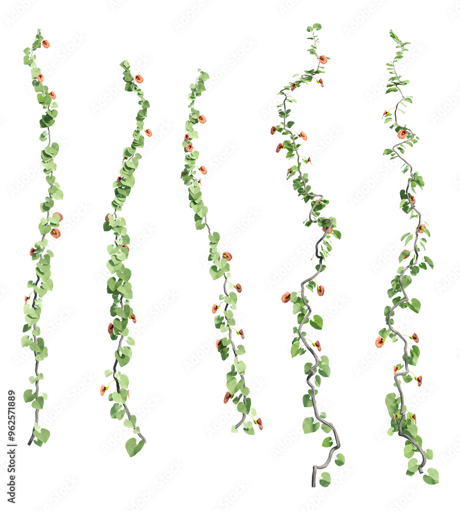 ivy plants isolated on a transparent background, 3d render ivy plants isolated on a transparent background, 3d render