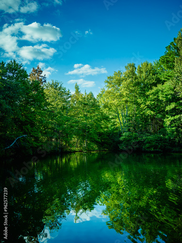 lake in the forest