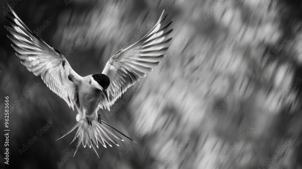 Obraz premium A bird in flight