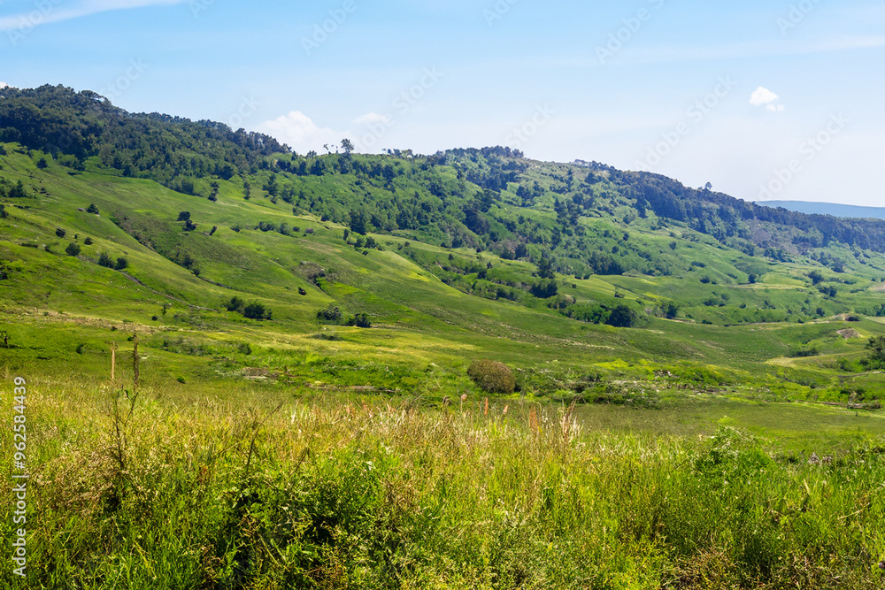 Naklejka premium Hills Landscape Background