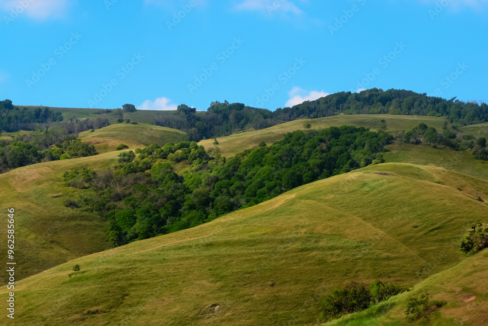 Hills Landscape Background Hills Landscape Background