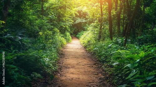 Scenic view of a peaceful hiking trail, capturing a balanced lifestyle Healthy Balance Routine, Nature Walk