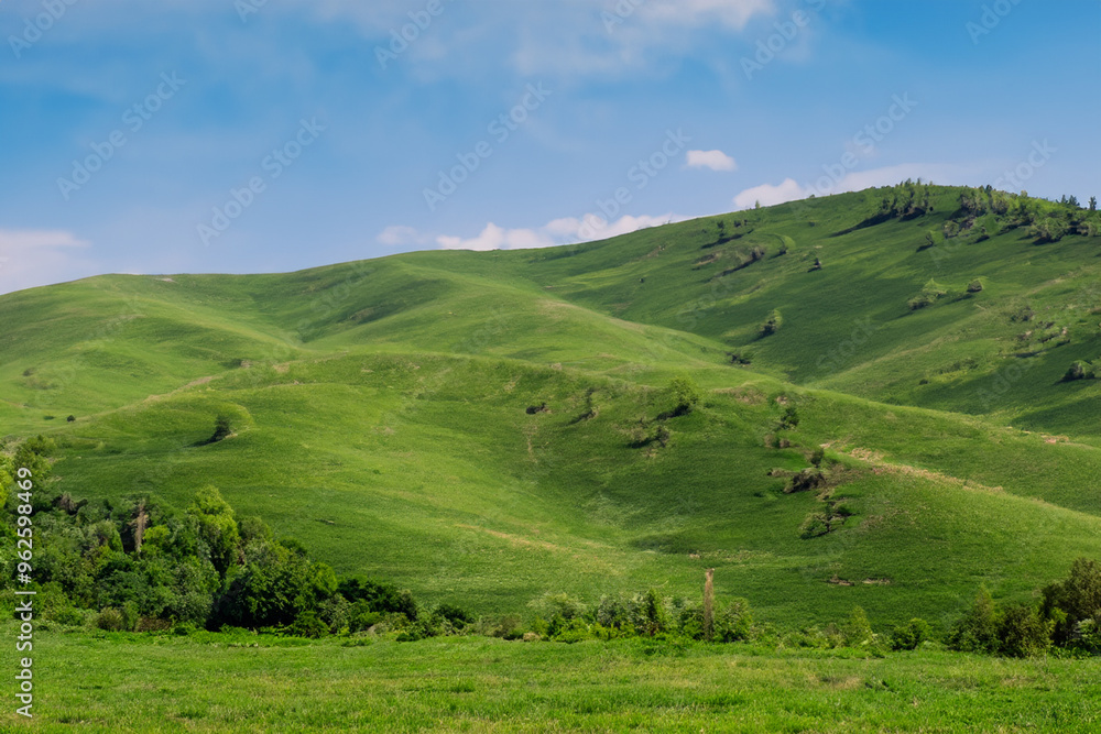 Fototapeta premium Hills Landscape Background