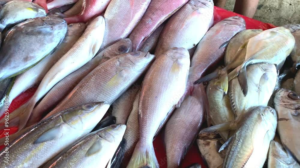 Fresh fish sold in traditional markets. Kepulauan Sangihe, Indonesia - August 8th 2024 Fresh fish sold in traditional markets. Kepulauan Sangihe, Indonesia - August 8th 2024