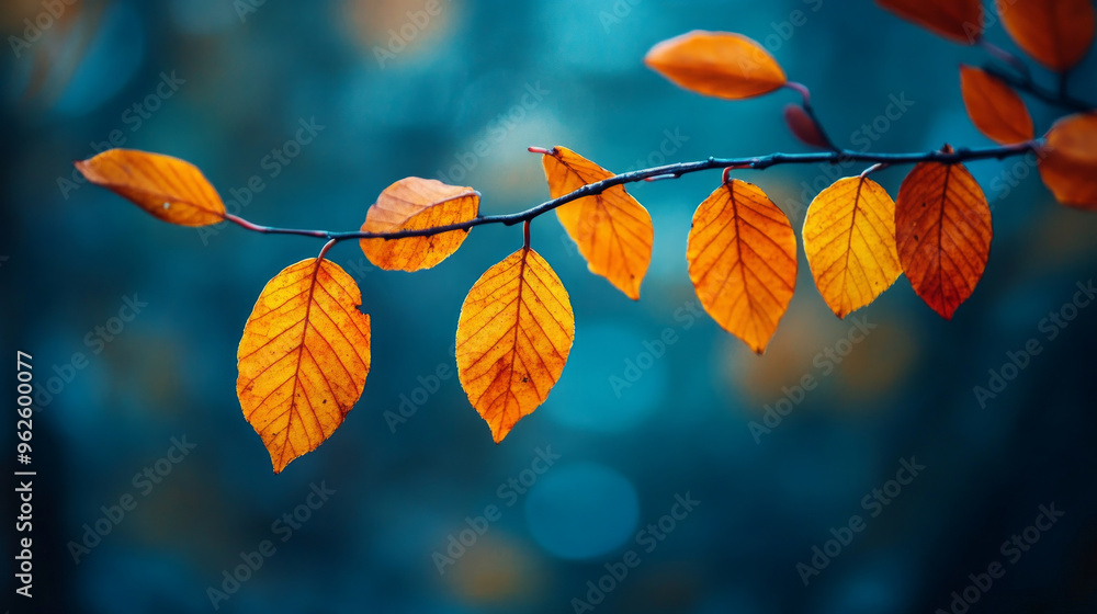 A branch with leaves on it is shown in a blue sky A branch with leaves on it is shown in a blue sky