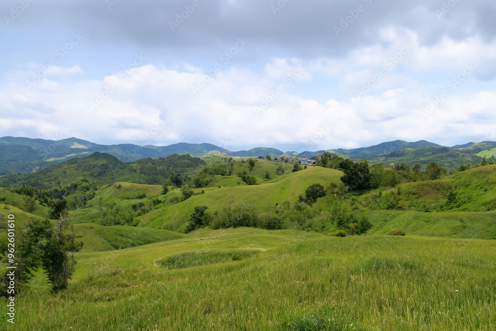 Fototapeta premium Hills Landscape Background