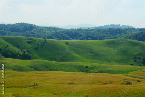 Hills Landscape Background