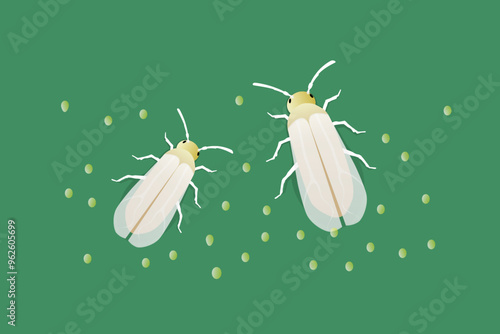 A pair of Bemisia tabaci insects, with the smaller male on the left and the larger female on the right, along with a cluster of their eggs, suitable for pest and disease control