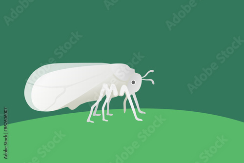 sucking insect bemisia tabaci with green leaf background suitable for pest and disease illustration and integrated pest management