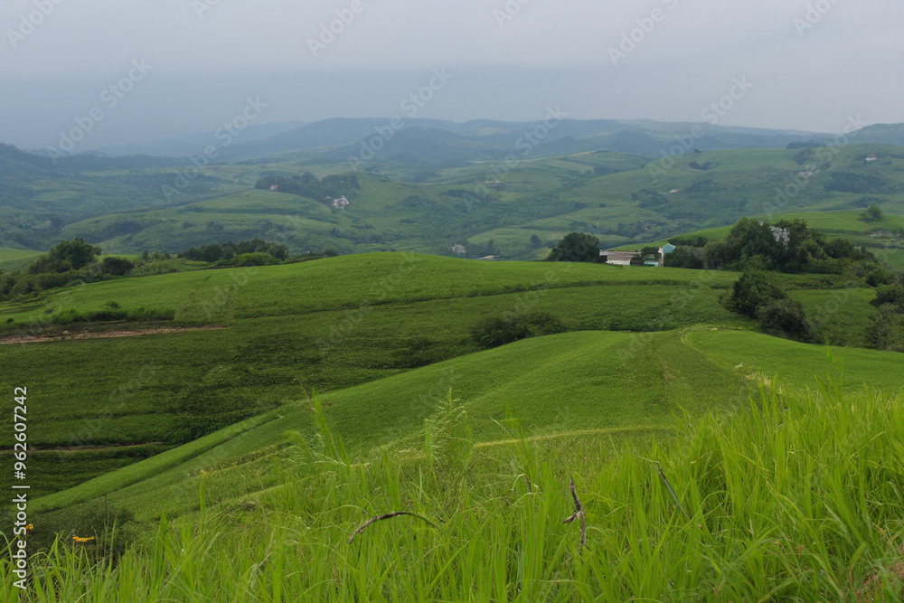 Hills Landscape Background Hills Landscape Background