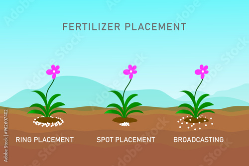 Illustration showing different methods of fertilizer placement, including ring placement, spot placement, and broadcasting, to enhance plant growth and maximize nutrient absorption