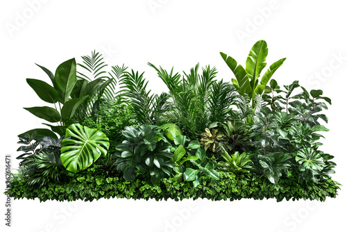 Wallpaper Mural Lush green tropical plants bush isolated Torontodigital.ca