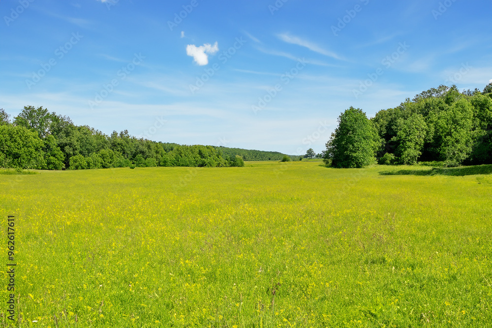 Obraz premium Meadow Landscape Background