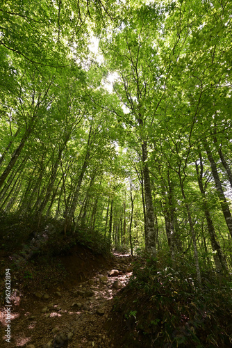 Climbing Mt. Bandai, Aizu, Fukushima, Japan photo