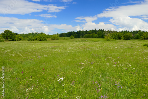 Meadow Landscape Background