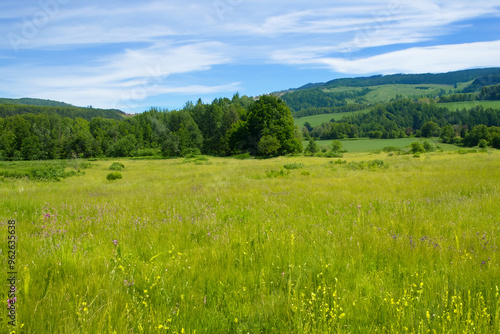 Meadow Landscape Background