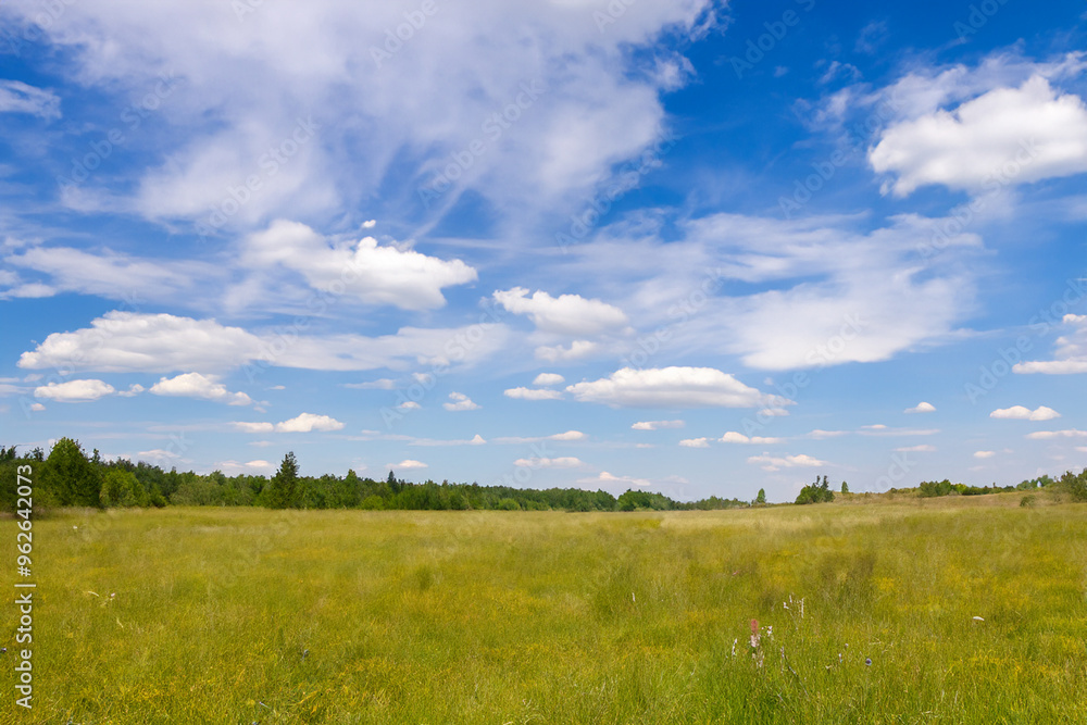 Meadow Landscape Background Meadow Landscape Background