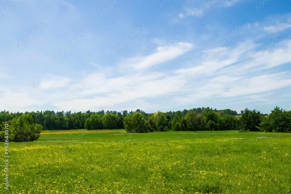 Obraz premium Meadow Landscape Background
