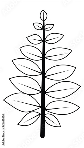 Hand draw traditional tree design, Vector tree design
 photo