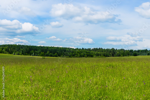 Meadow Landscape Background