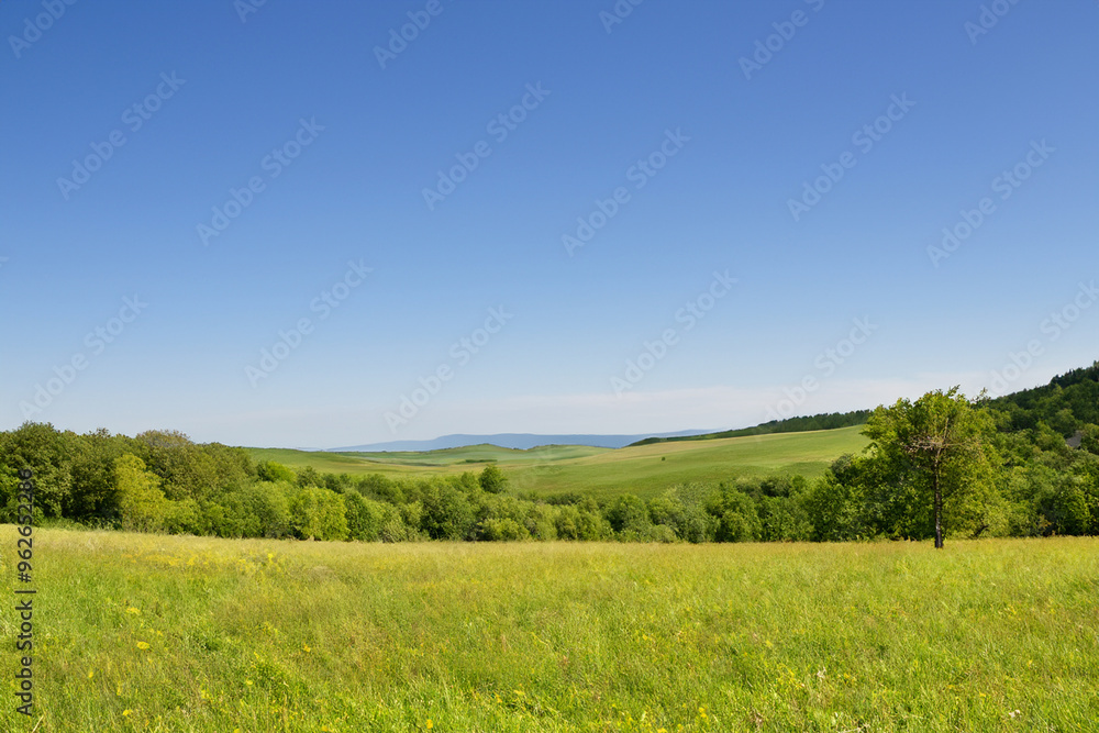 Fototapeta premium Meadow Landscape Background