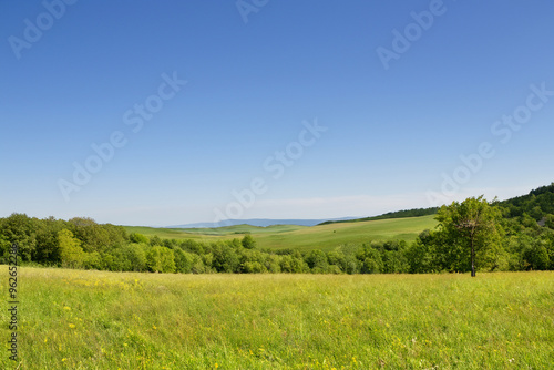 Meadow Landscape Background