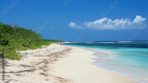 Serene Tropical Beach with Turquoise Waters and Lush Vegetation