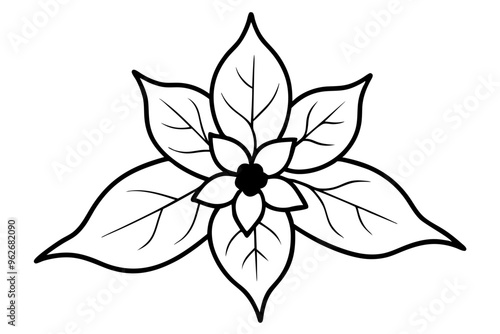 Collection of Christmas floral wreaths. Set of round frames for modern design for Holidays invitation card, poster, banner, postcard, packaging, greeting card, print. Romantic floral hand drown frame