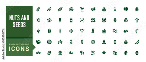 Nuts and seeds icon set. Solid icons pack. Solid icon set. Glyph icon set for web and ui. Filled icon set, editable stroke. Vector illustration.