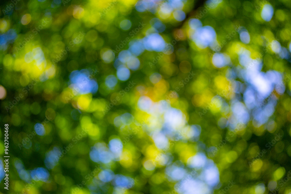 Obraz premium Blur natural green leaves bokeh background. Green bokeh on nature background. Green leaf at summer. Natural green leaves as spring background. Environment greenery wallpaper.