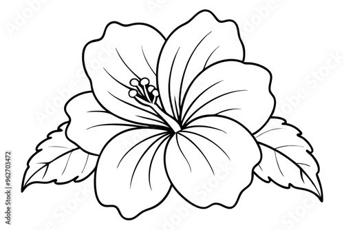 hibiscus line art, hibiscus flower line art vector illustration, hibiscus flower Svg
