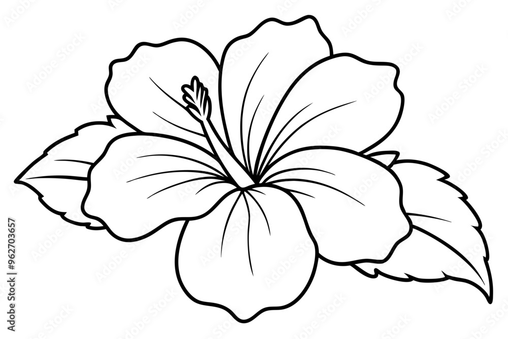 hibiscus line art, hibiscus flower line art vector illustration, hibiscus flower Svg
hibiscus line art, hibiscus flower line art vector illustration, hibiscus flower Svg