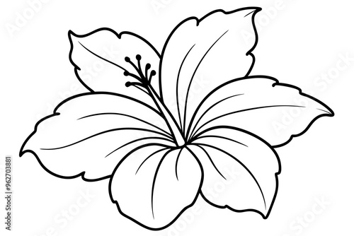 hibiscus line art, hibiscus flower line art vector illustration, hibiscus flower Svg
