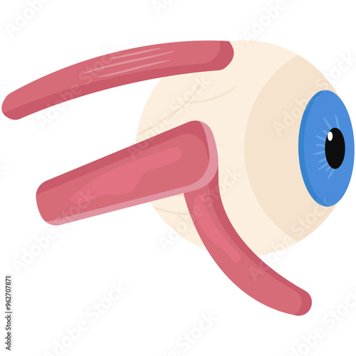  Human Eyeball Anatomy. Vector Illustration
