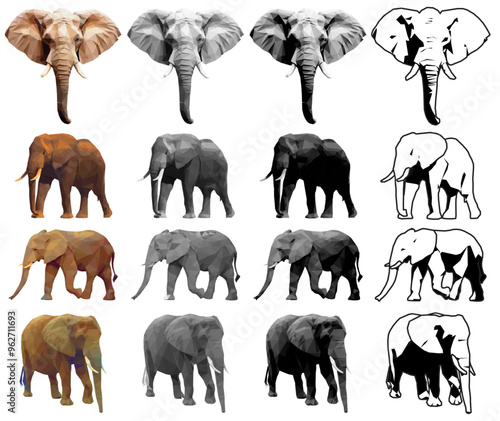 Photography Elephants