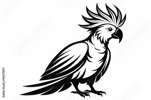 Cockatiel silhouette vector illustration, Cockatoo bird