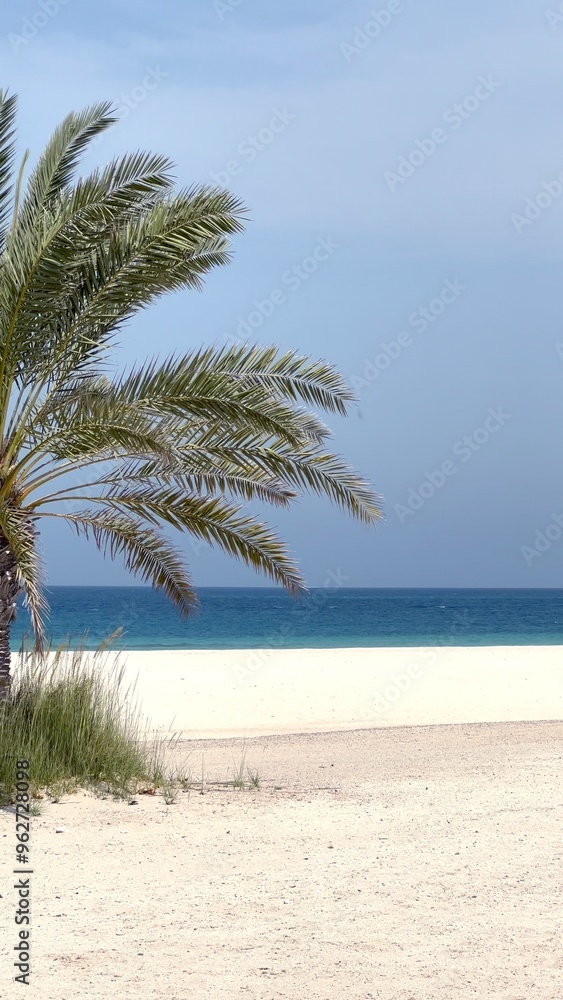 Obraz premium Beautiful eco beach view framed by lush palm leaves, golden sand, and turquoise sea. Perfect for tropical escape and scenic relaxation, this stunning beach scene invites tranquility and rejuvenation.