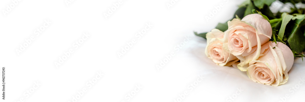The branch of pink roses on white fabric background
The branch of pink roses on white fabric background