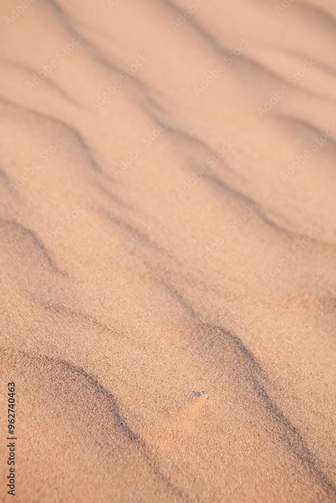 Fototapeta premium A pebble barely visible in a sea of sand