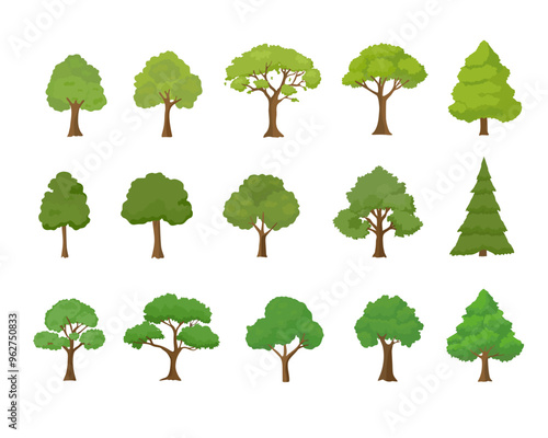 Collection of tree illustrations, tree elevation. Collection of tree isolated on a white background. Each species of trees. A tree with green leaves.