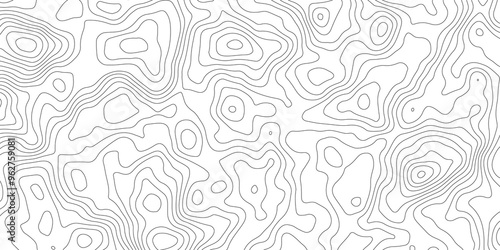 White topography topology vector white background fresh contour map texture backdrop digital print texture terrain lines and strokes on a fresh white 