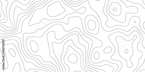 White topography topology vector white background fresh contour map texture backdrop digital print texture terrain lines and strokes on a fresh white 