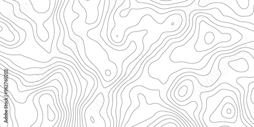 White topography topology vector white background fresh contour map texture backdrop digital print texture terrain lines and strokes on a fresh white 
