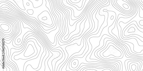 White topography topology vector white background fresh contour map texture backdrop digital print texture terrain lines and strokes on a fresh white 