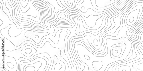 White topography topology vector white background fresh contour map texture backdrop digital print texture terrain lines and strokes on a fresh white 