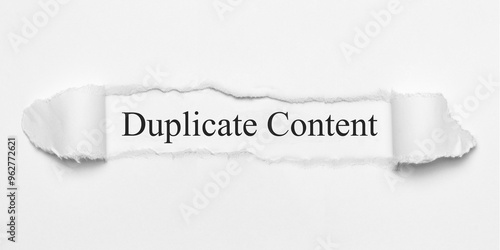 Canvastavla Duplicate Content