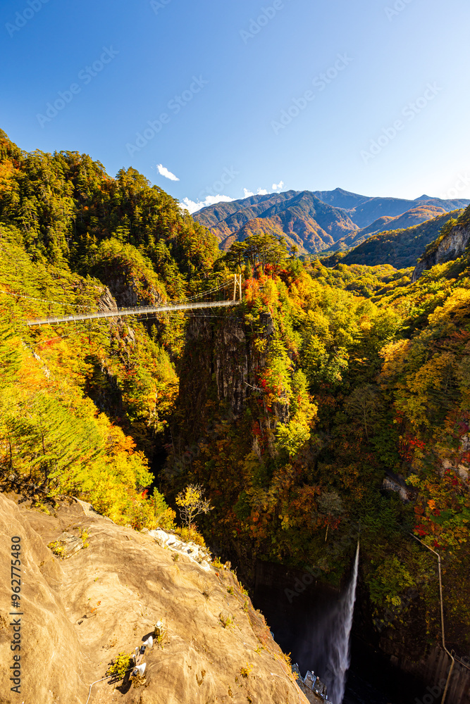 Fototapeta premium Autumn leaves at Setoai Valley in Nikko City