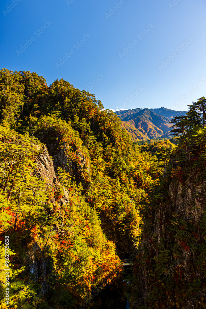 Autumn leaves at Setoai Valley in Nikko City Autumn leaves at Setoai Valley in Nikko City