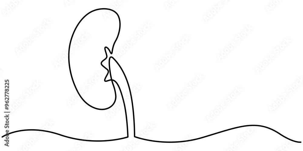 Continuous Line Drawing of Kidney Icon. Hand Drawn Symbol Vector Illustration, Continuous One Line Drawing Human Organs Icons Concept. Single Line Vector Illustration, Kidneys. Human Organs Anatomy 