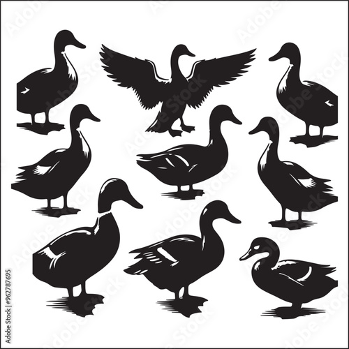 ducks set silhouette vector illustration, illustration  photo